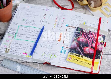 Planen eines Gemüsegartens im Spätwinter mit Gartennotizbuch, Pflanzkartoffeln und Saatgutpaketen. GROSSBRITANNIEN Stockfoto