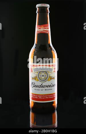 Irvine, CA - 12. JANUAR 2015: Eine Flasche Budweiser auf schwarzem Hintergrund. Budweiser ist eine der beliebtesten heimischen Marken in den Vereinigten Staaten. Stockfoto