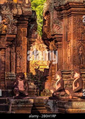 Bild des Bantay Sreay (Banteay Srei)Tempels, einem Teil des Archäologischen Parks Angkor Wat, in der Nähe von Siem Reap, Kambodscha. Stockfoto