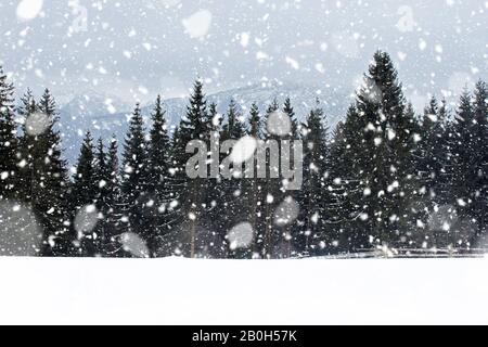 Blick von Gubalowka 1.126 m auf die Tatry-Berge und den Wald am Schnauzentag, Zakopane, Poalnd. Schneefall Stockfoto