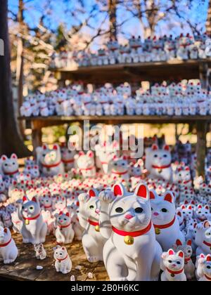 Eine große Gruppe von Maneki Nekos am Gotokuji Tempel, Tokio, Japan. Stockfoto