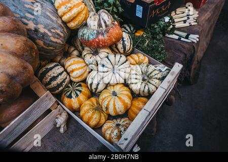 London, Großbritannien - 29. November 2019: Blick in den hohen Winkel einer Vielzahl von Kürbissen, die am Turnpips-Stall im Borough Market, einem der größten und ältesten Foo, verkauft werden Stockfoto