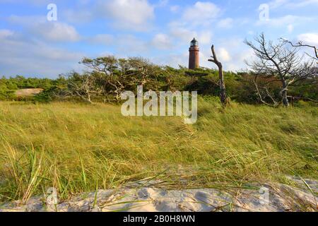 Schöne Landschaft auf der Darß Penisula, norddeutschland und dem Leuchtturm in der Ferne Stockfoto