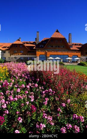 ARGENTINIEN, IN DER NÄHE VON BARILOCHE, LAKE NAHUEL HUAPI, LAKE DISTRICT, LLAO-LLAO RESORT, BLUMEN Stockfoto