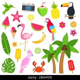 Tropisches Tier, Dinge und Blumen Stock Vektor