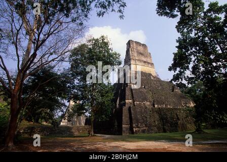 SÜDAMERIKA, GUATEMALA, TIKAL, TEMPEL DES RIESIGEN JAGUAR (TEMPEL I) Stockfoto