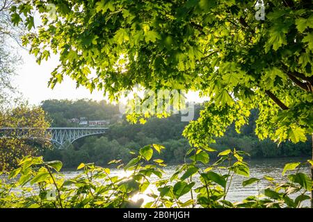 Sonne über dem Fluss hinter grüner Baumfalter, Frühling. Ein Ort für Entspannung und Aktivitäten. Pittsburgh, Pennsylvania, USA. Stockfoto