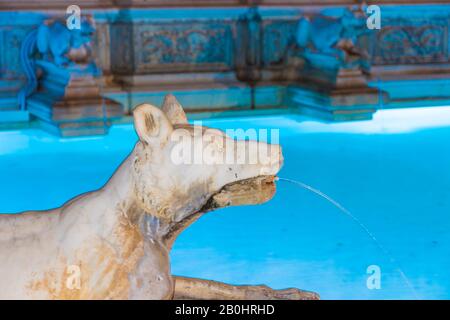 Insbesondere von Fonte Gaia (1400s) in der Nacht in der Piazza del Campo, Siena, Italien. Stockfoto