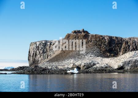 Adelie Penguin; Pygoscelis adeliae auf den Eden Rocks in der Nähe von Dundee Island, Weddell Sea, Antarktis. Stockfoto