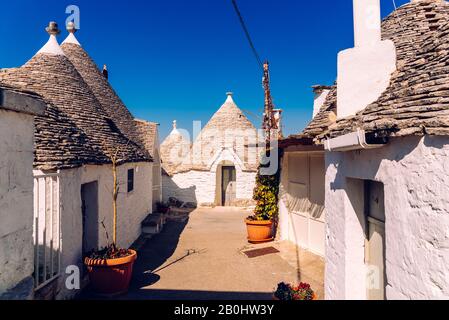 Schöne einstöckige Häuser von gerundeten Bau genannt Trulli, typisch für die Gegend von Alberobello in Italien. Stockfoto