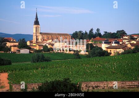 Beaujolais, das Dorf Fleurie und sein Weingut, Departement Rhône, Auvergne Rhone Alpes. Frankreich, Europa Stockfoto