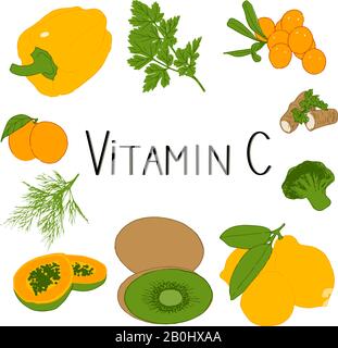 Handgezeichneter Satz Vitamin-C-Produkte. Gesundes Konzept. Stock Vektor