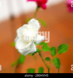Abstrakter Hintergrund mit Frühlings-Blumenmuster sorgt für Frische und Reinheit. Frühlings-Lichtmuster voller Frühlingsenergie und Glück Stock Vektor