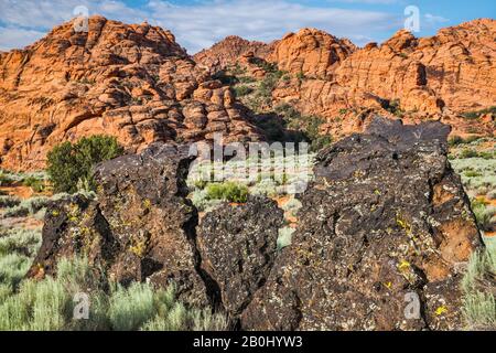 Basaltvulkanische Felsen und Felsformationen aus Navajo-Sandstein, Whiptail Trail im Snow Canyon State Park, Utah, USA Stockfoto