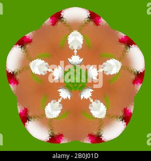 Abstrakter Hintergrund mit Frühlings-Blumenmuster sorgt für Frische und Reinheit. Frühlings-Lichtmuster voller Frühlingsenergie und Glück Stock Vektor