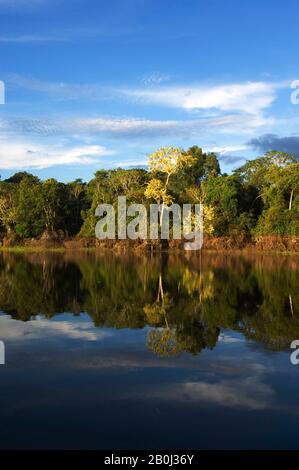 PERU, AMAZONAS-FLUSS, IN DER NÄHE VON IQUITOS, KLEINER ZUFLUSS, REGENWALD, REFLEXIONEN Stockfoto