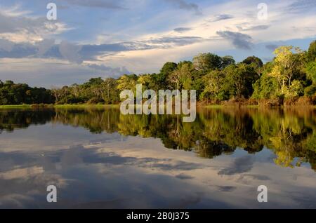 PERU, AMAZONAS-FLUSS, IN DER NÄHE VON IQUITOS, KLEINER ZUFLUSS, REGENWALD, REFLEXIONEN Stockfoto
