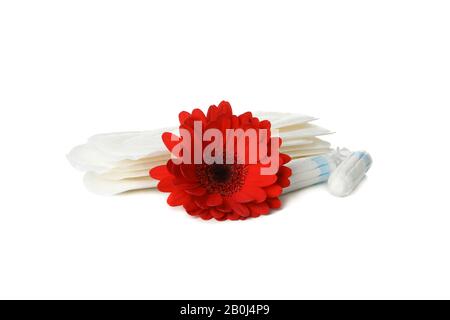 Sanitäranlagen, Tampons und Gerbera isoliert auf weißem Hintergrund Stockfoto