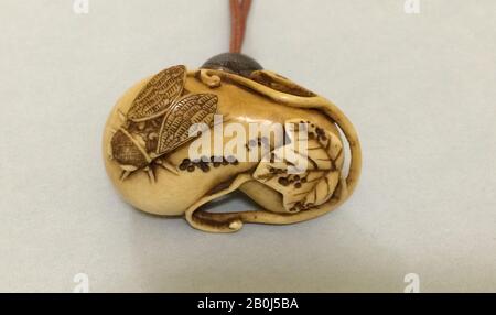 Netsuke in Form eines Gourds und von Cicada, Japan, Edo-Zeit (1615-1868), Datum 19. Jahrhundert, Japan, Elfenbeinküste, H. 1 Zoll (2,5 cm); W. 1 5/8 Zoll (4,1 cm); D. 1 Zoll (2,5 cm), Netsuke Stockfoto