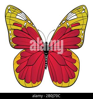 Farbenfroher Schmetterling auf weißem Hintergrund Vektorgrafiken Stock Vektor