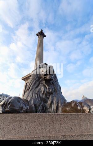 Löwenstatue am Fuß der Nelson-Säule, Trafalgar Square, London Stockfoto