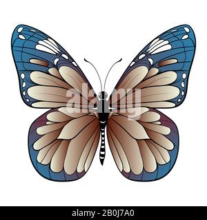 Farbenfroher Schmetterling auf weißem Hintergrund Vektorgrafiken Stock Vektor