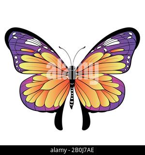 Farbenfroher Schmetterling auf weißem Hintergrund Vektorgrafiken Stock Vektor