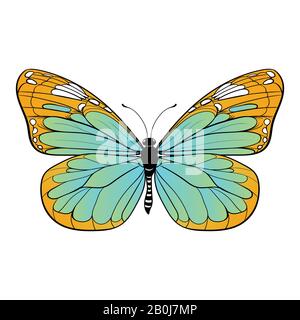 Farbenfroher Schmetterling auf weißem Hintergrund Vektorgrafiken Stock Vektor