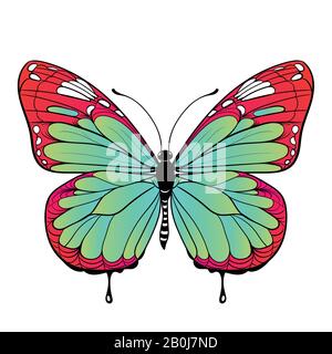 Farbenfroher Schmetterling auf weißem Hintergrund Vektorgrafiken Stock Vektor