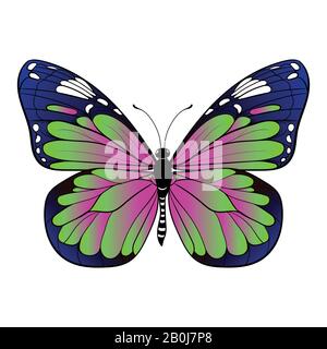 Farbenfroher Schmetterling auf weißem Hintergrund Vektorgrafiken Stock Vektor