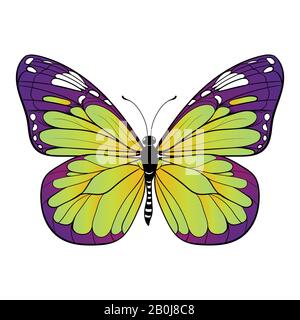 Farbenfroher Schmetterling auf weißem Hintergrund Vektorgrafiken Stock Vektor