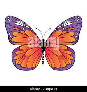 Farbenfroher Schmetterling auf weißem Hintergrund Vektorgrafiken Stock Vektor