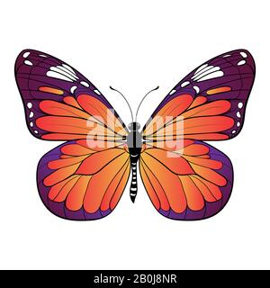 Farbenfroher Schmetterling auf weißem Hintergrund Vektorgrafiken Stock Vektor
