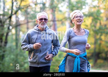 Altes Rentnerpaar im Park Stockfoto