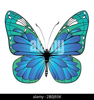 Farbenfroher Schmetterling auf weißem Hintergrund Vektorgrafiken Stock Vektor
