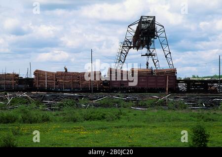 RUSSLAND, SIBIRIEN URUSCHA, HOLZSTÄMME, DIE IN DEN ZUG GELADEN WERDEN Stockfoto