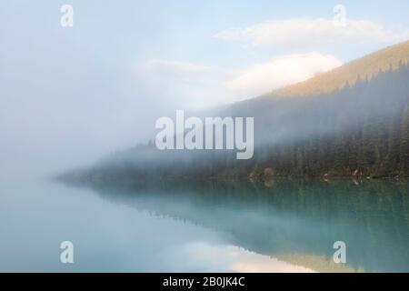 Foggy Morning from the Shore of Berg Lake, Front of Hargreaves Shelter, in Mount Robson Provincial Park, British Columbia, Kanada Stockfoto