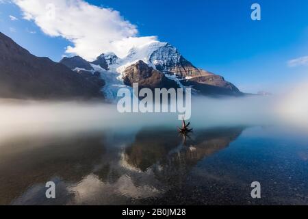 Foggy Morning from the Shore of Berg Lake, Front of Hargreaves Shelter, Mt. Robson in der Ferne, im Mount Robson Provincial Park, britisches C. Stockfoto