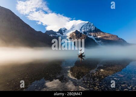 Foggy Morning from the Shore of Berg Lake, Front of Hargreaves Shelter, Mt. Robson in der Ferne, im Mount Robson Provincial Park, britisches C. Stockfoto