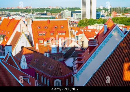 Sonnenschein über rot gefliesten Dächern der Altstadt von Tallinn mit Häusern von traditionellen Bauwerken, moderner Skyline im Hintergrund, Estland Stockfoto