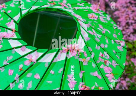 Verfallene Kirschblüten bedecken den Trashcan am regnerischen Morgen im Central Park New York City NY USA am 04. Mai 2019. Stockfoto