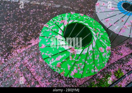 Verfallene Kirschblüten bedecken den Trashcan am regnerischen Morgen im Central Park New York City NY USA am 04. Mai 2019. Stockfoto