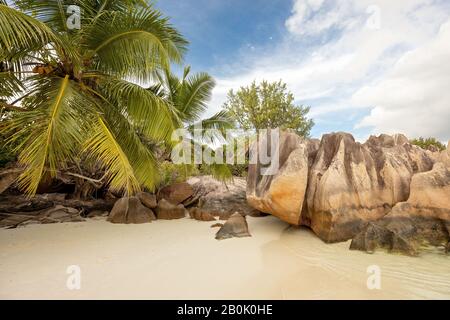 Curiouse Island und schöner Strand mit Granitsteinen auf den Seychellen Stockfoto