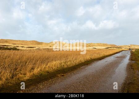 Amrum Odde, Insel Amrum, Northsea, UNESCO-Welterbe, Nordfriesland, Schleswig-Holstein, Gemany Stockfoto