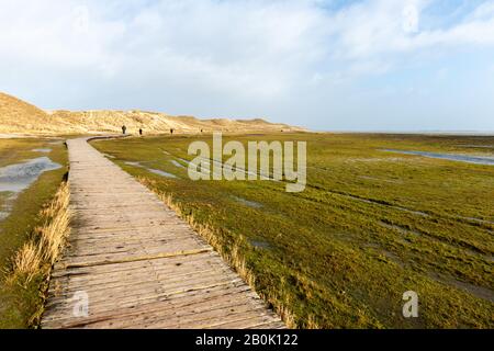 Amrum Odde, Insel Amrum, Northsea, UNESCO-Welterbe, Nordfriesland, Schleswig-Holstein, Gemany Stockfoto