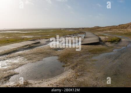 Amrum Odde, Insel Amrum, Northsea, UNESCO-Welterbe, Nordfriesland, Schleswig-Holstein, Gemany Stockfoto