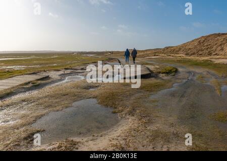 Amrum Odde, Insel Amrum, Northsea, UNESCO-Welterbe, Nordfriesland, Schleswig-Holstein, Gemany Stockfoto