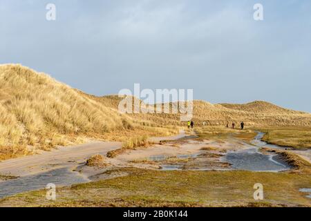 Amrum Odde, Insel Amrum, Northsea, UNESCO-Welterbe, Nordfriesland, Schleswig-Holstein, Gemany Stockfoto