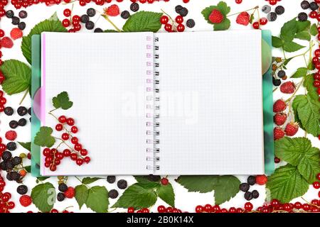 Buchen Sie über den Hintergrund von Beeren, Brombeeren und Himbeeren. Flache Lage, Draufsicht. Freier Speicherplatz für Text. Stockfoto