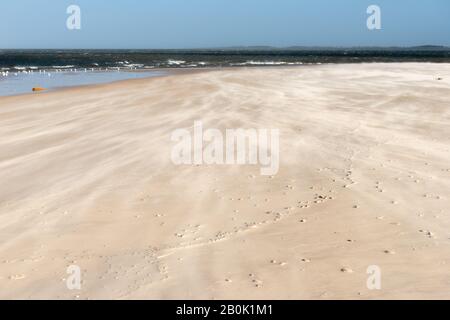 Amrum Odde, Insel Amrum, Northsea, UNESCO-Welterbe, Nordfriesland, Schleswig-Holstein, Gemany Stockfoto